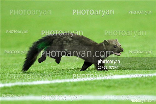 استقلال 1-العین امارات 0 -96/03/01-